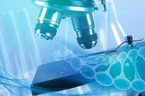 第三方儀器校準檢測：定性評估與定量測量