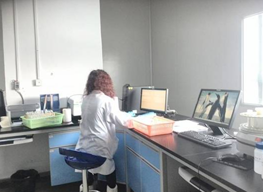 定硫儀怎么校準(zhǔn),儀器定硫儀如何校準(zhǔn)