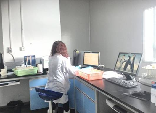 儀器校準(zhǔn)的定義